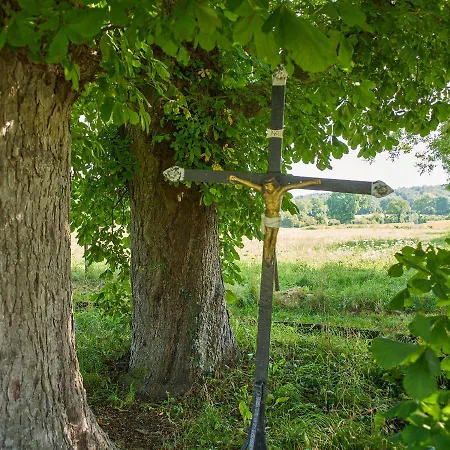 Bij Tante Toos Oda ve Kahvaltı 3*