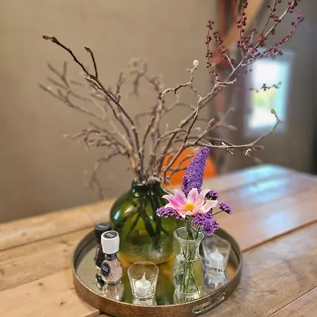 Bed and breakfast Bij Tante Toos 3*