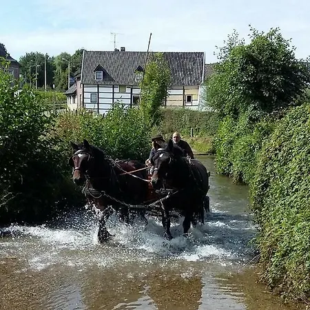 Bed and breakfast Bij Tante Toos 3*