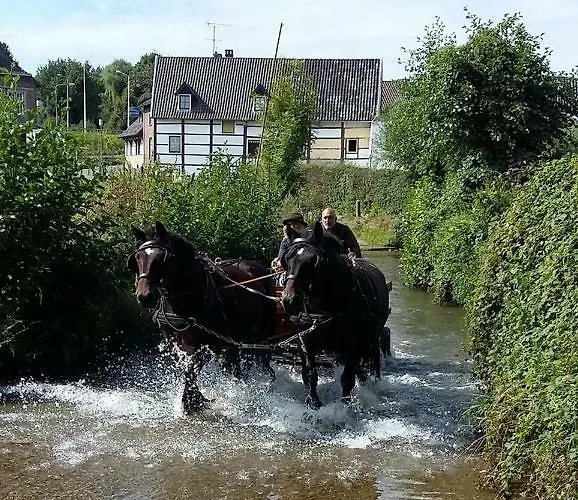 B&B Bij Tante Toos 3*