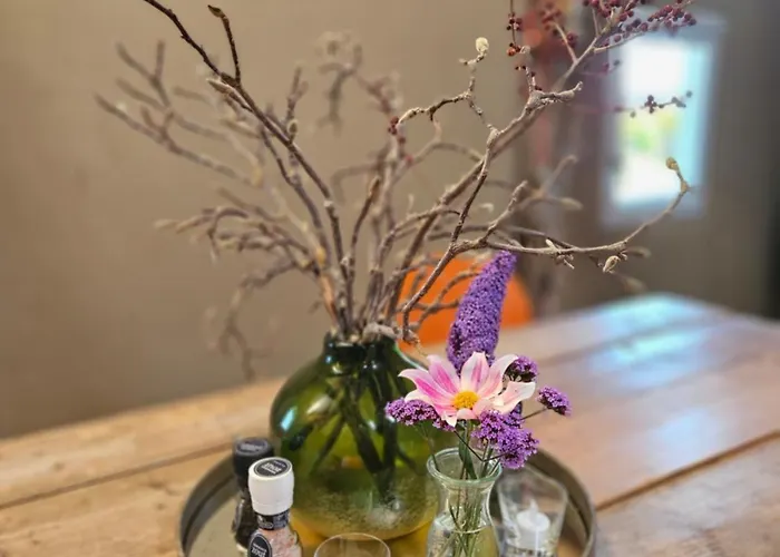 Bed & Breakfast Bij Tante Toos 3*